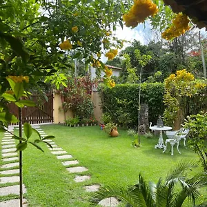 Casa Tortuga Casa de Férias Porto Seguro